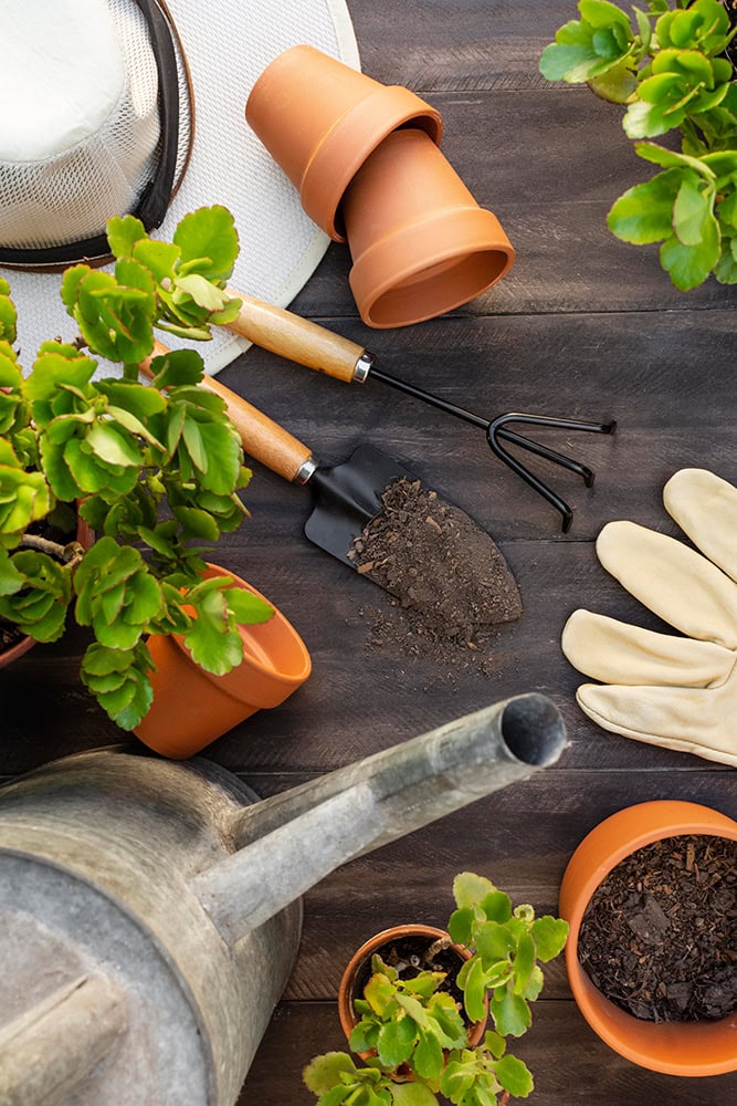 Gartenbetreuung Reithofer Handwerk & Service KG
