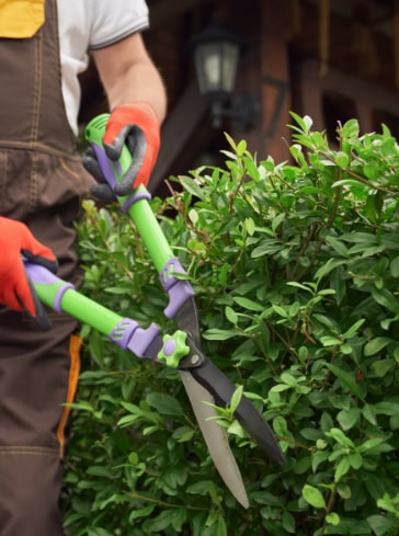 Gartenservice