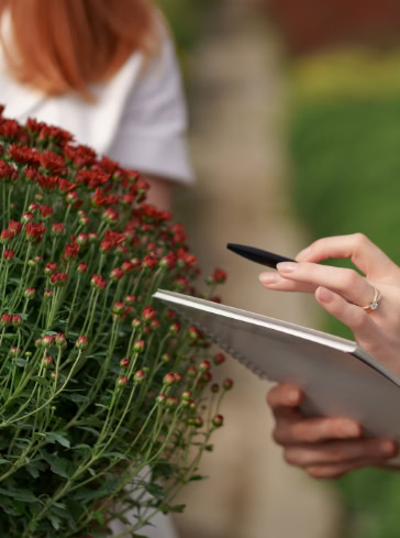 Gartenservice