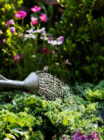 Gartenservice Mattersburg